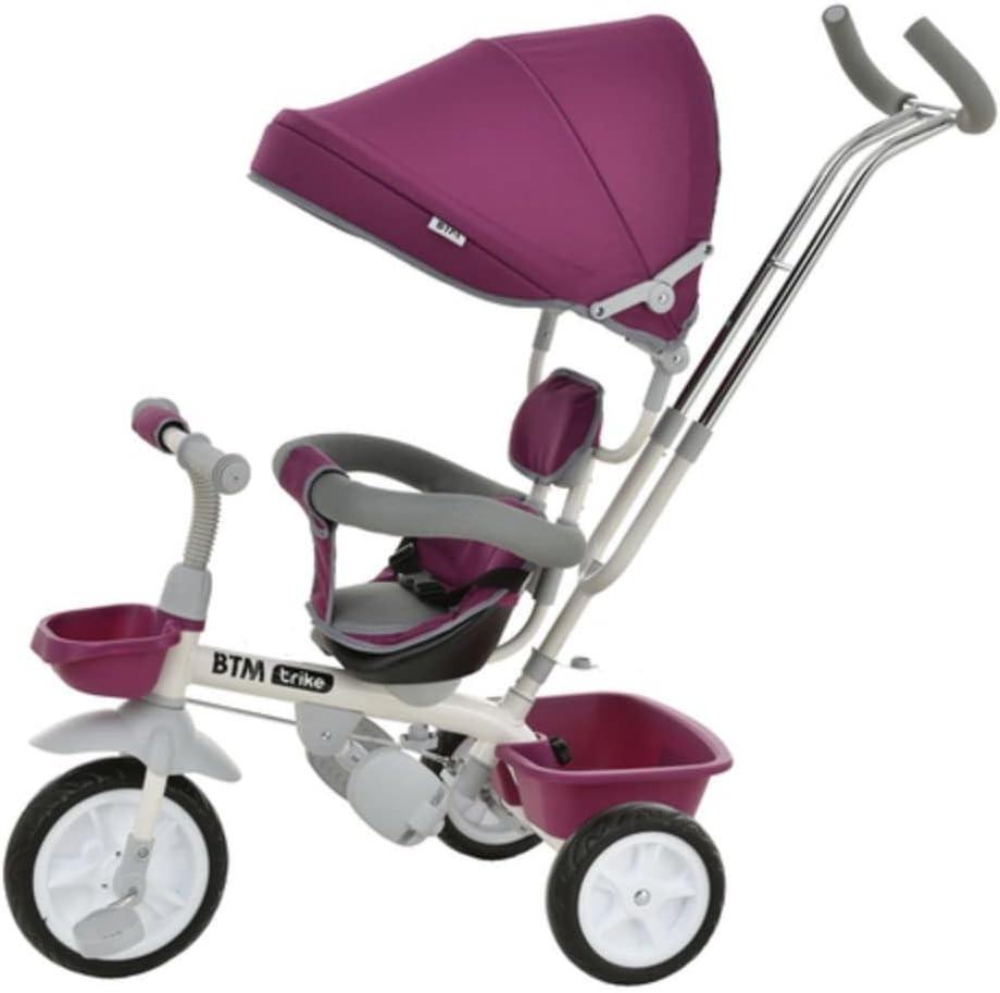 BTM Children's Tricycle, Stroller, Tricycle, Folding, Safety Belt, Stopper, Folding Push Rod, Foot Rest, Control Bar, Handle Adjustment, Ultra Lightweight, Full of Functions, Ride-On Toy, Kids Bike, G